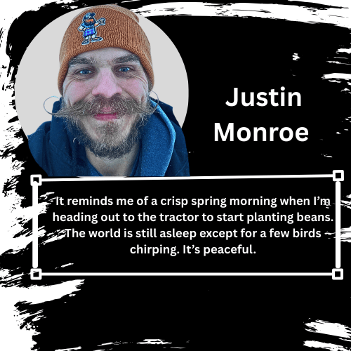 Premium Beard Oil | 3 Morning Dew (FTPBTP) - Petitgrain, Douglas Fir, Juniper Berry, Spearmint - KiltBeardCo