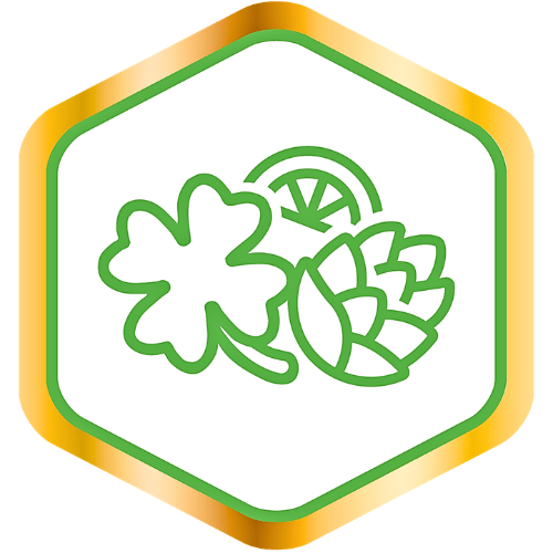 Premium Beard Oil | Clover & Hops Heritage | Hops, Lime, Hay - KiltBeardCo