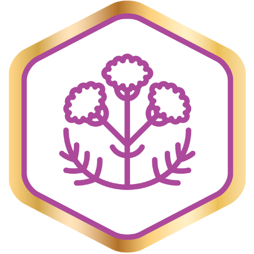 Premium Beard Oil | Spring Awakening Heritage | Heather and Thistle - KiltBeardCo